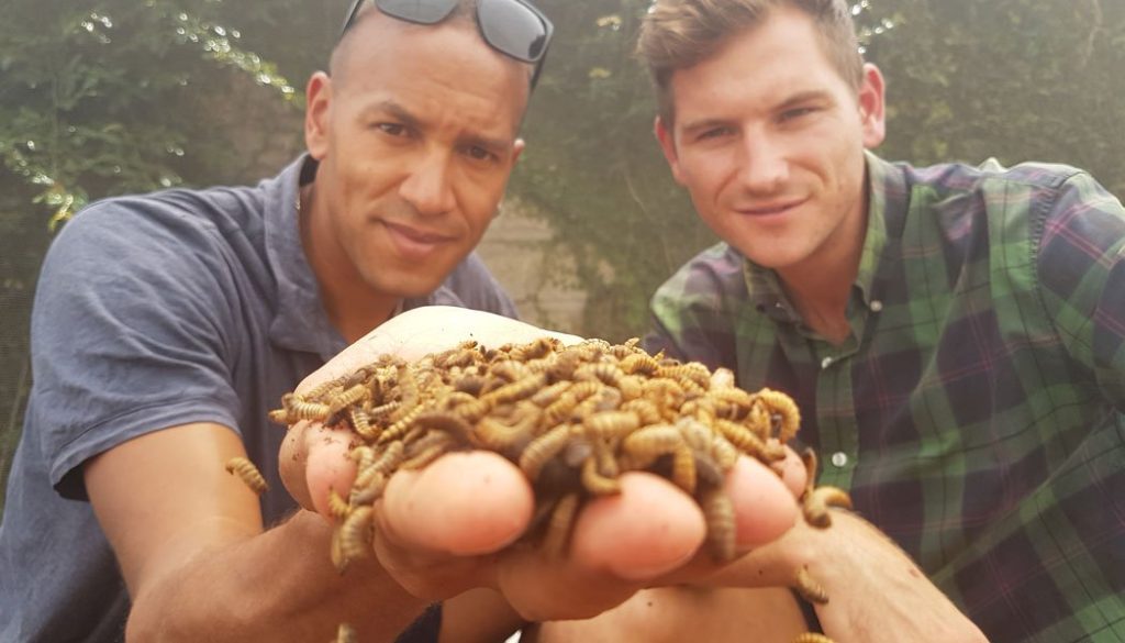 Sune Mushendwa holds a black soldier fly larvae in his hand while standing next to Andrew Wallace.