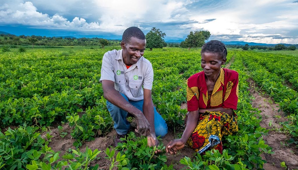 Good-Nature-Agro-Agriculture-Social-Enterprise-Zambia