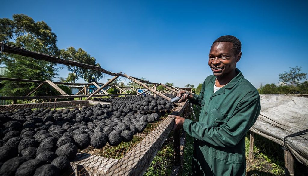 Sanivation-Charcoal-Superballs-Poop-to-Fuel