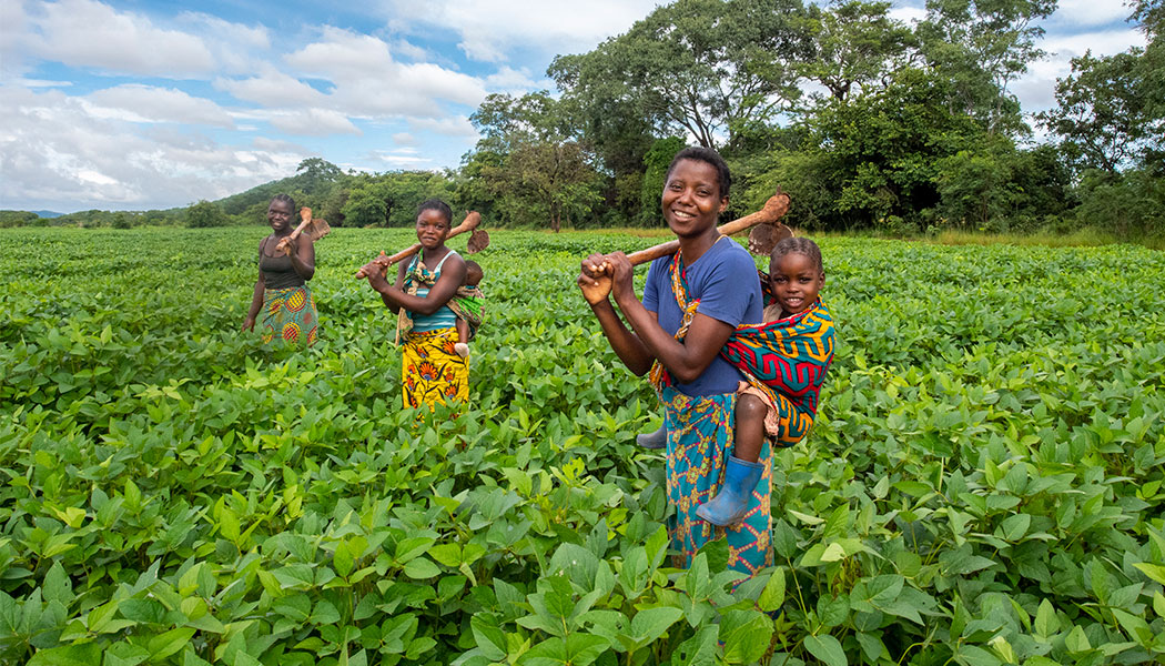 Social-Enterprise-Partner-GNA-Farmers-in-the-Field