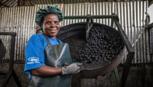 Factory production of charcoal briquette substitute