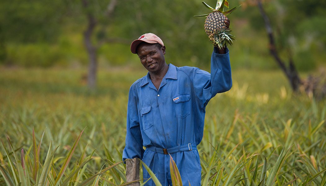 Afrique de l'Est-Fruits travaille avec les petits exploitants agricoles pour rationaliser le processus de mise sur le marché des produits agricoles