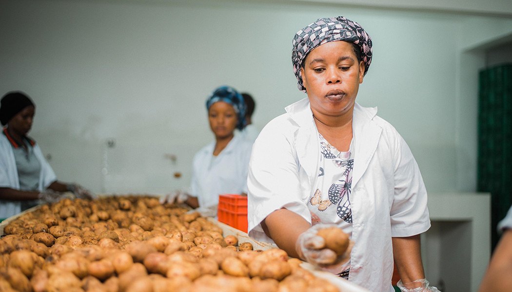 Centre de transformation des fruits d'Afrique de l'Est