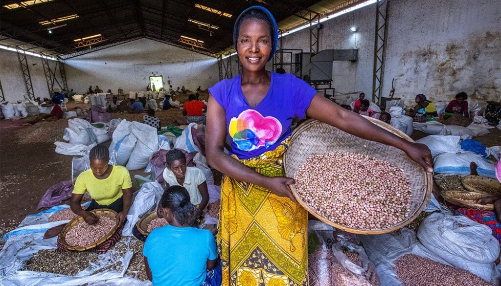 Sorting Seeds at GNA Factory