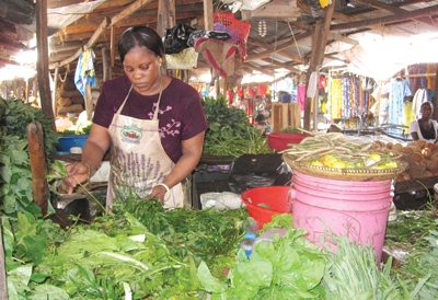 An Unexpected Tragedy: How FINCA Can Help