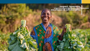 microfinance ceo