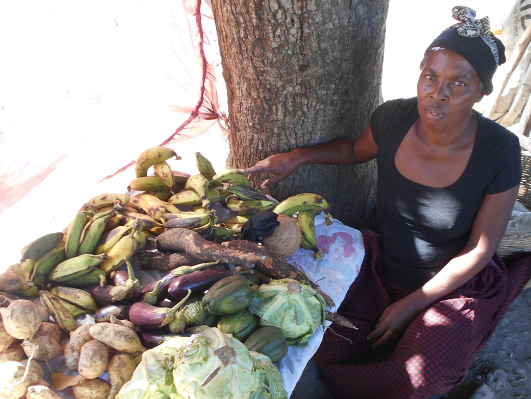 FINCA Haiti client Julia Pierre