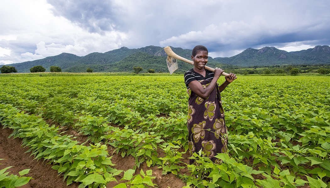 Rural-Women-Zambia-Good-Nature-Agro-Stridah-Phiri-Farmer