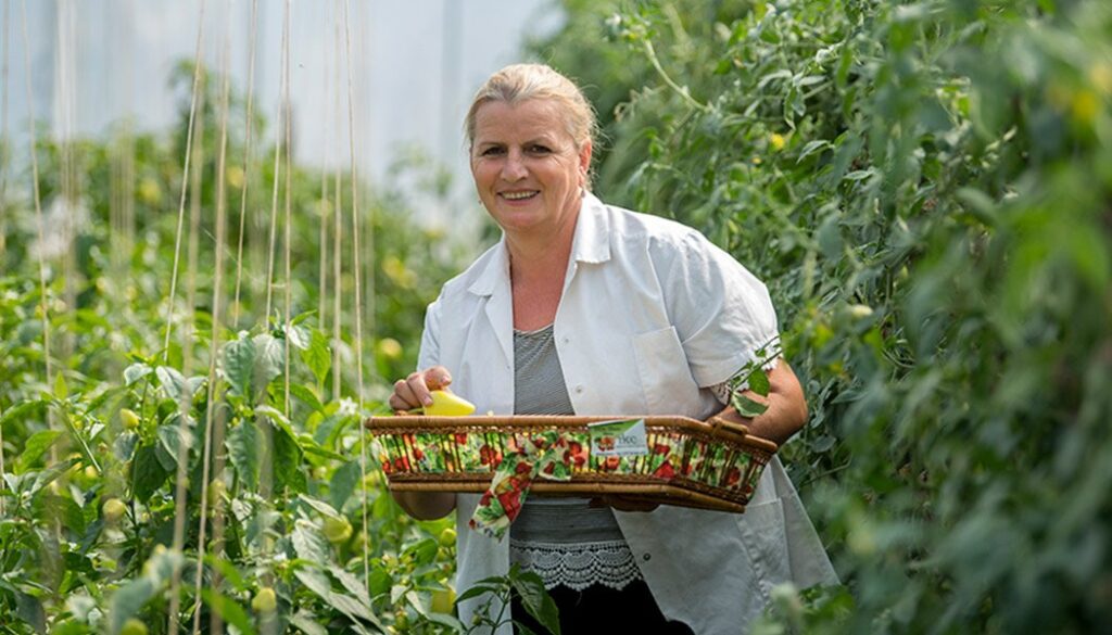 Xheva-Haziri-Picking-Produce-in-her-Field
