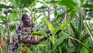 empower rural women