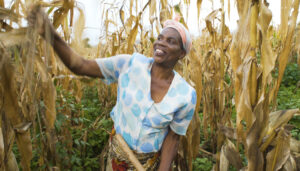 microfinance research