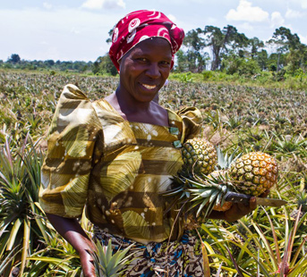madina holds a fresh pineapple, a key ingredient for Ugandan pineapple nut bread